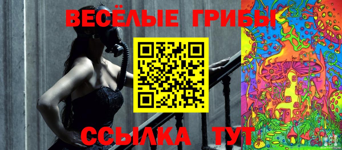 Псилоцибиновые грибы мухоморы  Вход с VPN  Мариинск 